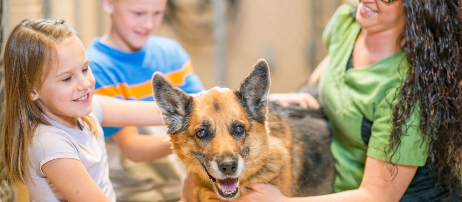 Adopting vs Buying a Dog in Canada: The Real Cost Difference in 2026