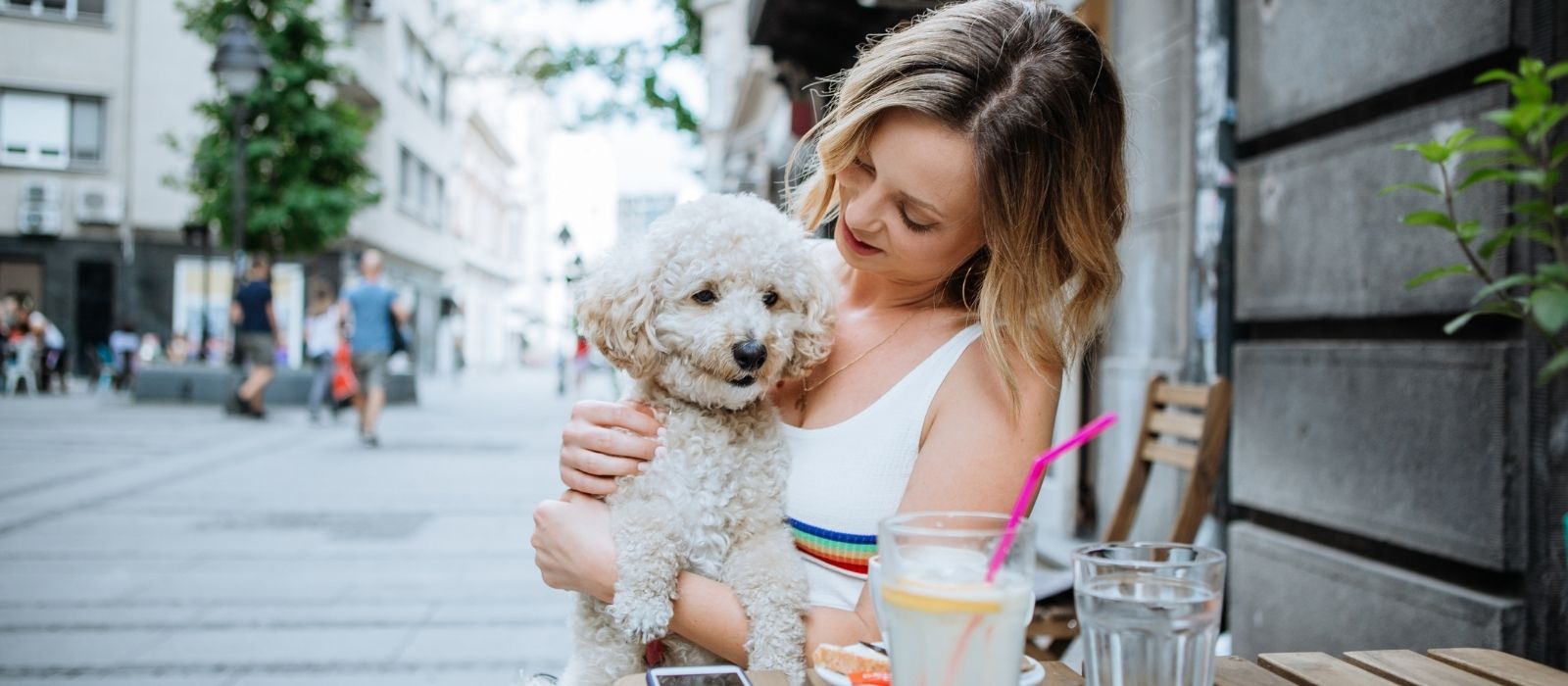 The 10 Most Pet-Friendly Cities in Canada (Ranked by Vet Access, Parks & Bylaws)