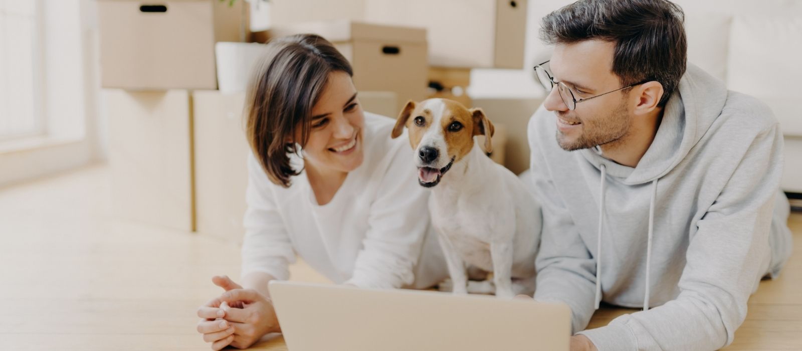 Moving Between Provinces With Pets: What Nobody Tells You About Quebec
