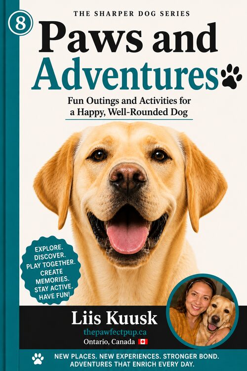 Paws and Adventures: Fun Outings and Activities for a Happy, Well-Rounded Dog